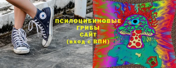 амф Россошь